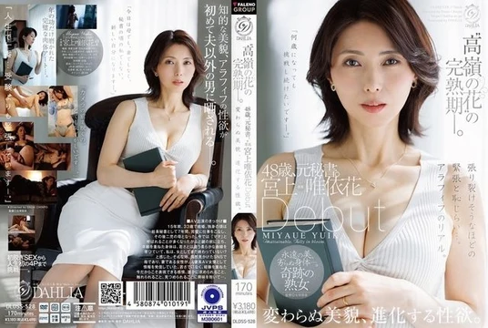 DLDSS-528
