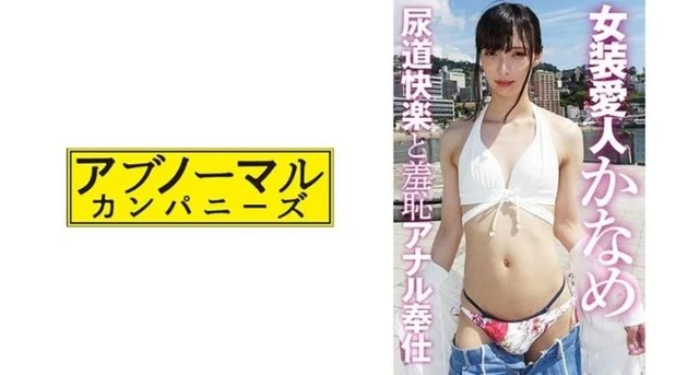 481SKCK-046